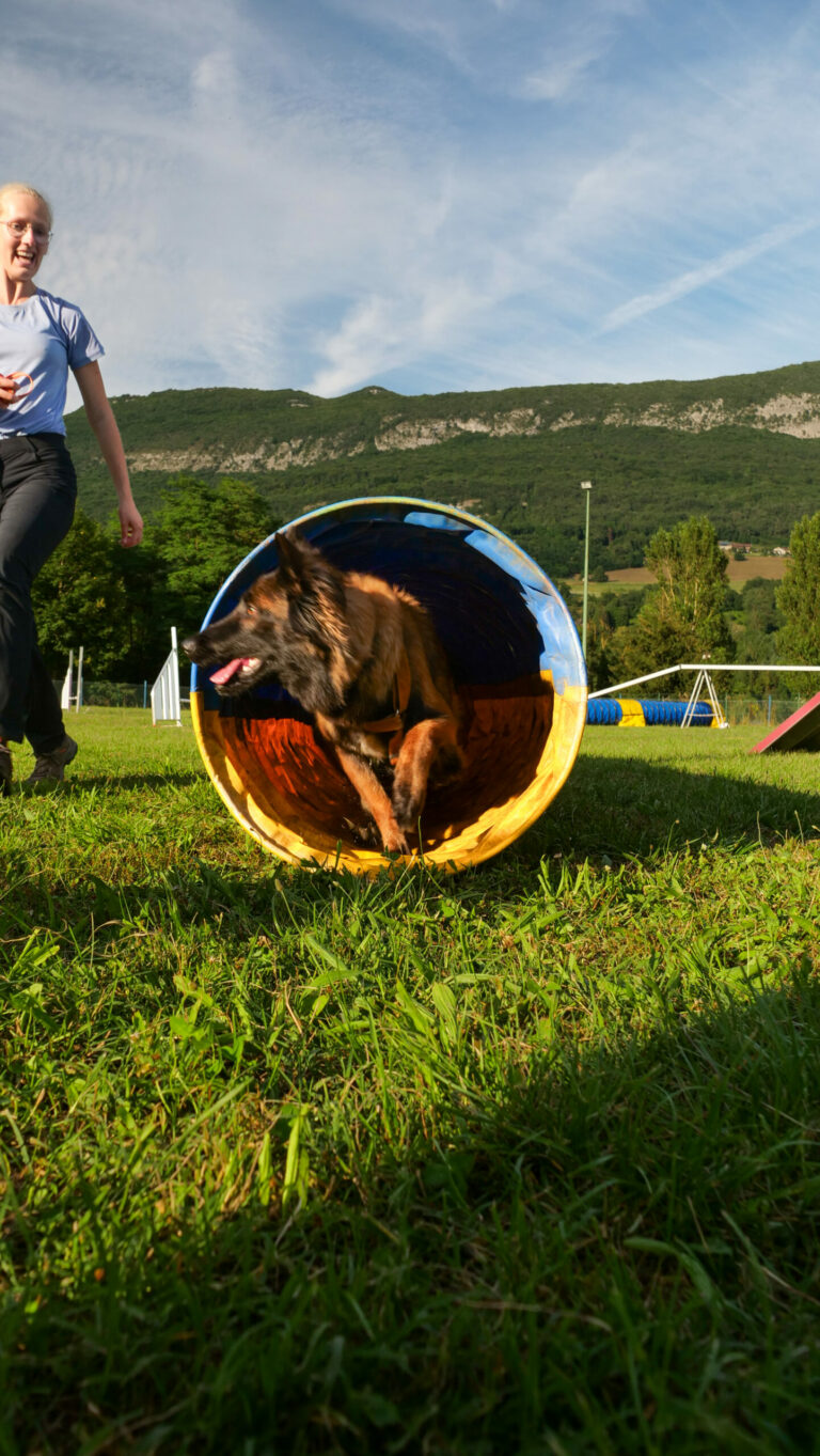 CYNOPRO – DOG AFTER WORK 2024