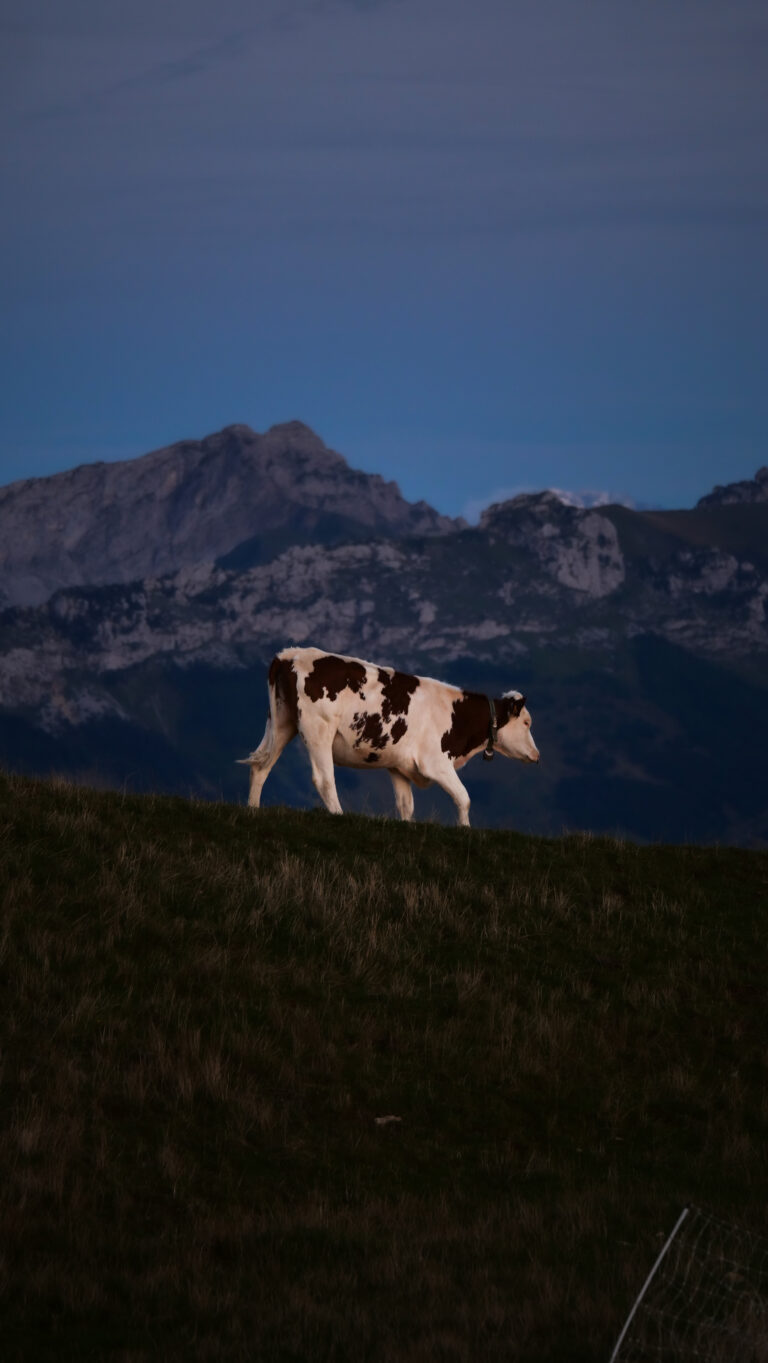 Semnoz sunset